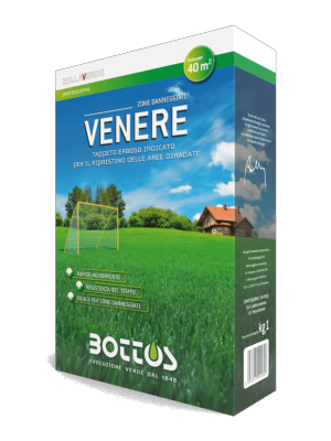 SEMENZA ZOLLAVERDE VENERE 1KG 85% LOIETTO 15% POA